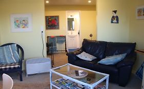Laughing Fish Studio